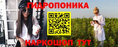 гидра Рыбинск