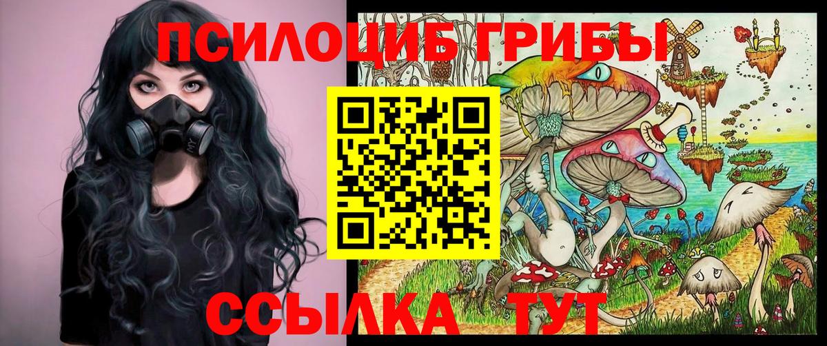 Рязань  Галлюциногенные грибы прущие грибы  наркота  Вход с VPN 